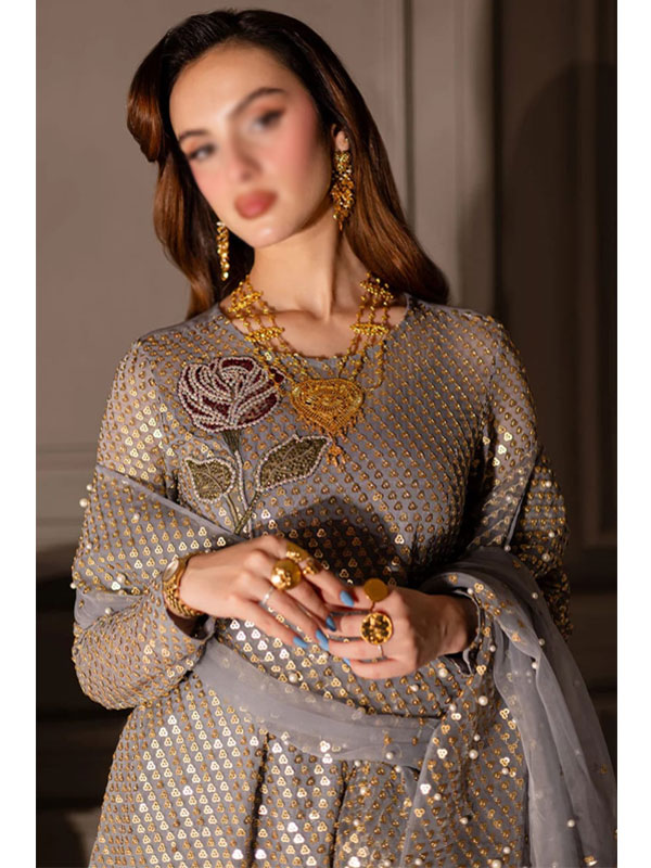 Heavy Embroidered Chiffon Party Dress With Organza Embroidered Dupatta (Unstitched) (CHI-1025)
