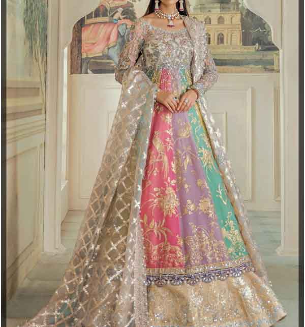 Bridal Net Fully Heavy Embroidered Dress 2021 With Net Heavy Embroidered (CHI-426)