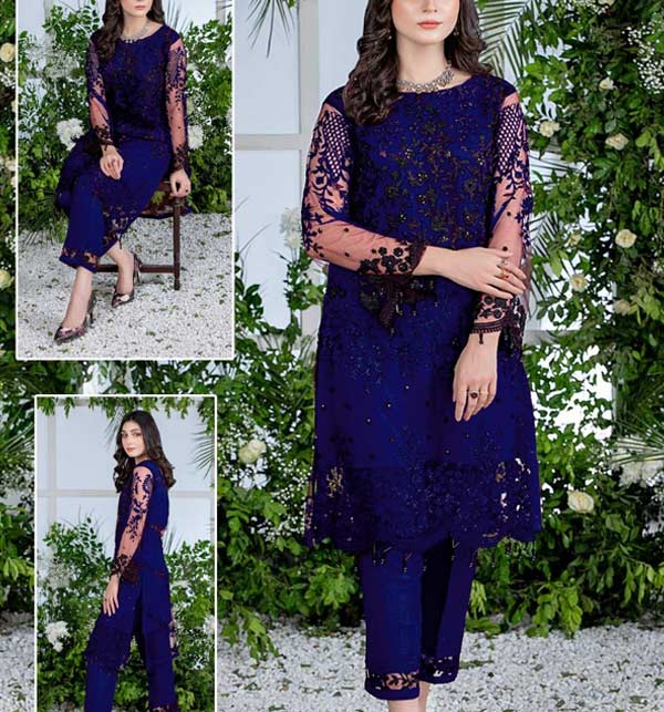 NET Embroidered Fancy Party Wear Dress 2022 (2-Piece) (UnStitched) (CHI-707)
