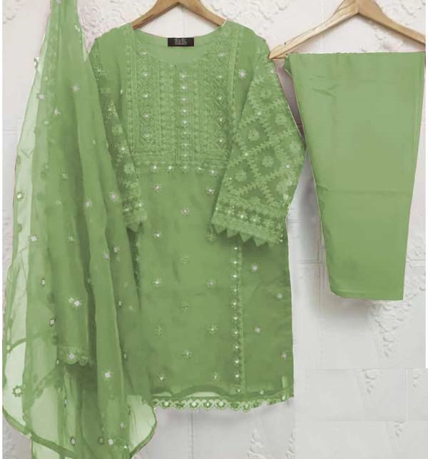 Ready to Wear Handwork Embroidered Organza Party Wear Dress 2022